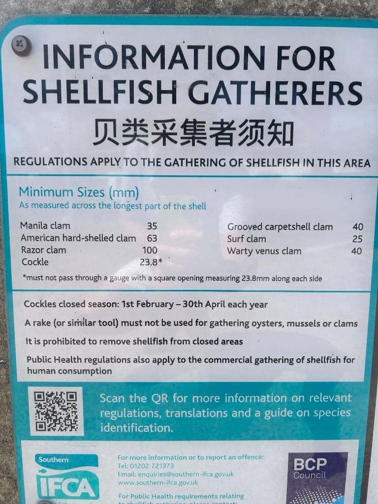 Southern IFCA and BCP Council information board listing shellfish gathering regulations and minimum sizes for Poole Harbour
