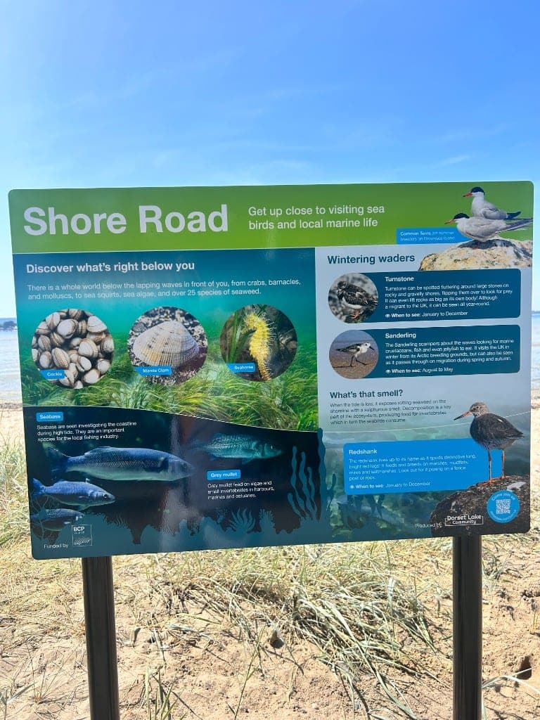 Shore Road wildlife interpretation board overlooking Poole Harbour, describing local seabirds and marine life including terns, waders, shellfish and seahorse